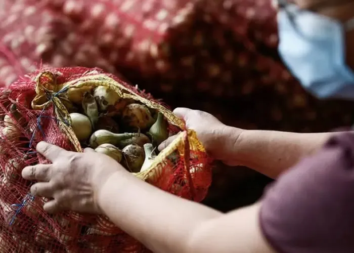 Assim como em muitos países da América Latina, alho e cebola estão na base da culinária das Filipinas. O hábito de refogar com os dois ingredientes remonta ao período da colonização pela Espanha, que se estendeu entre 1521 e 1898 e acabou influenciando a gastronomia do país.

Há quase um mês, contudo, a cebola virou artigo de luxo para os filipinos. Literalmente: após uma disparada nos preços, ela passou a custar mais do que carne bovina e de frango.

O quilo da cebola roxa e da branca chegou nesta semana a 600 pesos filipinos, aproximadamente R$ 55. Corte de carne mais caro da lista de produtos monitorados pelo governo, a alcatra de boi custava, no mesmo período, 480 pesos filipinos (R$ 44); o frango inteiro, 220 pesos (R$ 20).

    Inflação de quase 100%: preços praticamente dobraram na Argentina em 2022

O valor é superior ao do salário mínimo diário nas Filipinas, que gira em torno de 500 pesos (R$ 46), variando a depender do setor. 

Com a alta de preços, as autoridades do país chegaram a apreender contrabando da hortaliça. Em um deles, do início de janeiro, o equivalente a 17 milhões de pesos (R$ 1,58 milhão) em sacas de cebola foi interceptado em um carregamento da China declarado como sendo de roupas.

Nas redes sociais, os filipinos têm se manifestado com mensagens de indignação em relação ao governo, que veem como tendo uma parcela de culpa na situação atual, e com bom humor.

"Tchau chocolates, olá cebolas. A cebola está virando uma das melhores lembranças de viagem com que você pode presentear um filipino", disse um filipino, que vive nos Estados Unidos, em um post no Twitter.

"Estamos trazendo cebolas em vez de chocolates de volta da viagem à Arábia Saudita", escreveu outro. 

Também em viagem aos Estados Unidos, outro usuário compartilhou a imagem de um vidro de cebola em pó: "Como a cebola virou ouro nas Filipinas, queria comprar desses daqui pra dar de presente, mas já fui a cinco supermercados e todos estão sem estoque. Perguntei a uma atendente e ela disse: Ah, os turistas filipinos têm comprado muitos desses. Me pergunto por quê…" 

 ROLEX DELA PENA/EPA-EFE/REX/Shutterstock, Baixe 100 receitas, Receitas especiais e Melhores Pratos, em, Brasil