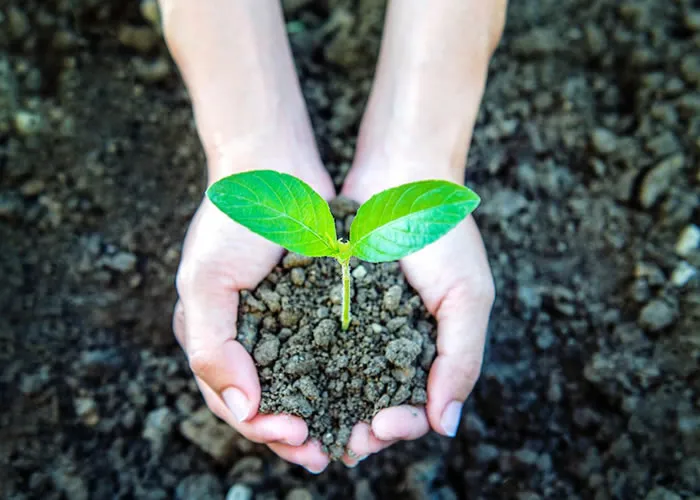 Quando a maioria das pessoas pensa na Amazônia, pensa em beleza natural, natureza selvagem e aventura. No entanto, quando a maioria das pessoas considera a economia brasileira, pensa em bens de baixa qualidade e falta de desenvolvimento. Eles acreditam que a economia brasileira está com problemas por causa da má qualidade de vida de seus cidadãos. O que a economia brasileira tem a oferecer?

A economia brasileira depende fortemente dos recursos naturais e do preço internacional de seus produtos primários exportados. A maior parte do crescimento econômico do Brasil vem da exportação de recursos naturais como madeira e petróleo. Quando os preços desses bens sobem, a economia brasileira cresce. No entanto, quando os preços caem, como ocorreu nos últimos anos, o crescimento econômico brasileiro também desacelera. Além disso, o Brasil exporta muitos produtos industrializados, como automóveis e têxteis.

Quando o comércio internacional diminui, como aconteceu recentemente, as exportações brasileiras também diminuem. Por isso, a economia do Brasil é altamente instável ao tentar crescer economicamente com base nos recursos naturais ou em seus produtos de exportação.
Quando os preços dos recursos naturais caem, como aconteceu em 2015, o governo brasileiro deve cortar seus gastos. Isso dificulta o sucesso das empresas e reduz a renda do país. Além disso, quando os preços de certos tipos de exportação caem, as empresas reduzem seus custos importando matérias-primas em vez de exportá-las. Isso esgota ainda mais os recursos naturais e reduz ainda mais o crescimento econômico.


Para mitigar esses problemas, as taxas de juros devem aumentar para incentivar os consumidores a economizar em vez de consumir novos produtos. No entanto, as taxas de juros estão baixas há muito tempo no Brasil porque o crescimento econômico foi muito bom na última década. Como resultado, muitos consumidores sentem que podem comprar novos produtos sem obter nenhum benefício do aumento do crescimento econômico. Para resolver esse problema, o crescimento econômico do Brasil precisa desacelerar para que as taxas de juros aumentem e o consumismo aumente junto com ele. Só assim os consumidores serão incentivados a economizar em vez de consumir novos produtos quando sua renda aumentar.


Com base no que aprendemos sobre como as economias funcionam nos parágrafos anteriores, o que você acha que acontecerá com a economia brasileira no futuro próximo? A má qualidade de vida do Brasil continuará desencorajando o crescimento econômico? Ou as taxas de juros baixas encorajarão os consumidores a gastar mais dinheiro agora para que possam lucrar com o aumento do crescimento econômico no futuro? Claramente, há muita coisa acontecendo com a economia brasileira que precisa mudar antes que ela possa ajudar a resolver alguns problemas globais relacionados à pobreza e baixos padrões de vida para os cidadãos de nações em desenvolvimento.

, Geopolitica da amazônia, Pesca esportiva e Trilhas amazonicas , em, Brasil
