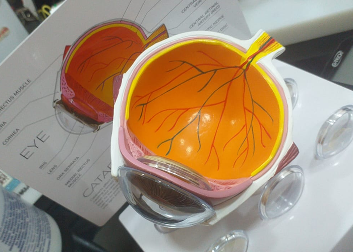 Optometrista em Manaus, O optometrista, profissional qualificado por cursos reconhecidos pelo MEC, é peça fundamental no cuidado com a saúde visual na atenção primária. Atuando com exames de refração, indicação de óculos, lentes de contato e terapias visuais não invasivas, ele contribui para a qualidade de vida da população. Na Clínica Opto Prime, o atendimento humanizado e baseado em evidências garante uma avaliação completa, voltada à detecção precoce de alterações oculares ou sistêmicas. A atuação precoce evita complicações maiores, como cegueira evitável, garantindo que o paciente seja encaminhado rapidamente ao especialista necessário.

#Optometria #SaudeVisual #OptoPrime #PrevençãoVisual

, exame de vista completo, Márcia Sousa Optometrista, em, Óptica e Optometria