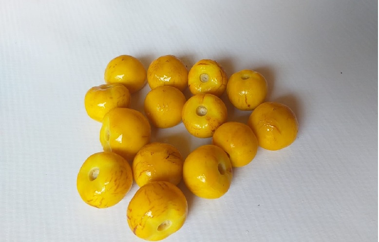 O murici é uma fruta tropical de cor amarela intensa, típica da região do Cerrado brasileiro. Com seu sabor único, que mistura notas ácidas e doces, esta fruta tem sido cada vez mais apreciada tanto pela gastronomia quanto pelas propriedades medicinais que possui. Ela é rica em vitamina C, antioxidantes e compostos anti-inflamatórios, o que a torna um excelente aliado no combate a doenças e no fortalecimento do sistema imunológico.

Historicamente, o murici tem sido cultivado e consumido por povos indígenas, que já reconheciam seu valor tanto alimentar quanto terapêutico. Embora fosse bastante comum nas comunidades rurais, foi um tanto esquecida nas últimas décadas devido ao avanço da agricultura moderna. No entanto, nos últimos anos, há um movimento crescente para resgatar o uso do murici, não só pelo seu sabor exótico, mas também pelos benefícios para a saúde.

O mercado de alimentos saudáveis tem se beneficiado dessa redescoberta, com muitos chefs e nutricionistas adotando o murici como ingrediente-chave em receitas criativas. Seu uso em sucos, geleias, doces e até em pratos salgados está ganhando cada vez mais espaço, especialmente nas feiras gastronômicas de produtos regionais.

Seja consumido in natura ou transformado em ingredientes como polpas ou concentrados, o murici é, sem dúvida, uma fruta que traz frescor e inovação para a alimentação moderna., Superalimento, Cerrado e Fruta Tropical, em, Brasil