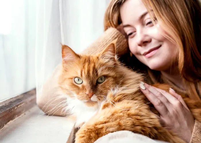 Os gatos têm uma forma única de comunicar uns com os outros e com os humanos. Eles usam uma variedade de sons, cheiros e linguagem corporal para formar fortes laços com os outros. Por exemplo, eles se limpam, miam, ronronam e perseguem suas presas. Cada gato tem sua própria maneira de se comunicar, o que torna mais fácil para os indivíduos se entenderem. 

Cada gato produz um conjunto diferente de fluidos corporais para expressar seus sentimentos. Eles tendem a produzir mais quando estão felizes ou contentes,  o que faz sentido considerando o quão felizes e contentes os gatos são por natureza. Eles também tendem a produzir menos quando estão com fome ou estressados. Cada felino tem diferentes níveis normais dessas secreções. Alguns são mais notáveis do que outros. A saliva que os gatos produzem quando estão felizes tem um cheiro de ácido acético. Os gatos que espirram produzem um muco espesso que deixa para trás uma substância fibrosa que se apega ao pêlo e à cauda. Este último também tende a ser abundante durante as sessões de limpeza ou após escapar de uma ameaça. As emissões gasosas também tendem a estar presentes durante essas situações, pois os gatos tendem a ofegar quando estão excitados ou fazendo esforço físico. Além das secreções corporais normais, gatos individuais também podem produzir quantidades extras de certos gases quando estão excitados ou assustados. Graças a este método de comunicação único, é fácil para os humanos entenderem o que um gato está sentindo a qualquer momento. 

Cada gato estabelece seu território com itens distintos que traz e deixa para trás quando caça suas fontes de alimento. Eles incluem pedaços de pano, papel, brinquedos e outros itens que servem como marcadores de seu domínio. Esses atos comunicam informações sobre o status do gato no reino animal, como se é um adulto, gatinho ou mãe gata. Eles também informam outros gatos sobre a localização das fontes de alimento favoritas do gato. Outros animais, incluindo pássaros, aprendem onde estão localizados seus alimentos favoritos e visitam essa área regularmente. Isso ocorre porque eles sabem que a fonte de alimento favorita de um determinado animal está perto de seu próprio território. Como tal, eles podem deixar temporariamente seus próprios territórios para roubar comida das áreas de vida de outros gatos. 

Ao contrário dos humanos, que usam a comunicação verbal na maioria das vezes, os gatos usam várias técnicas não verbais para expressão emocional e hierarquia social entre seus pares. Eles vocalizam usando miados e ronrons, que são emoções de gatos universais baseadas em contentamento e fome. Um miado geralmente acompanha as interações amigáveis entre gatos e seres humanos, enquanto um ronronar geralmente significa prazer em comer bem ou adormecer em um local convidativo. Um rosnado indica agressão ou medo, enquanto um silvo indica raiva ou agressão a outra coisa no ambiente que desvia a atenção do próprio gato. 

A maioria dos gatos faz aparições regulares em torno de seus donos para distribuição de comida, mas nunca os deixará saber disso ao se aproximar deles diretamente. Em vez disso, eles deixam sinais sutis para trás em casa ou em seus ambientes, indicando para onde devem ir em seguida com migalhas ou restos de comida de gato. Isso é conhecido como andar (que se assemelha a andar enquanto segura a fome) e indica que o dono do gato deve colocar mais comida para que seu gato possa aparecer e comê-lo lá, em vez de andar de volta para casa repetidamente. 

Essa prática é importante porque economiza tempo e calorias, pois os gatos não precisam gastar a energia necessária para obter comida fisicamente, eles só precisam informar seus donos onde estão escondidas todas as suas guloseimas saborosas para que possam trazê-las ele mesmo!

A cada dia surgem novos insights sobre como os gatos se comunicam através de suas expressões corporais únicas, tornando-os um dos animais de estimação mais amados da humanidade! Sua linguagem corporal nos ajuda a entender como eles se sentem sobre as coisas muito melhor do que usar palavras verbais. Em última análise, todos se beneficiam de entender como os gatos se comunicam através da química!

, Sinais de marcação gatos, Comportamento do seu Gato e Spray evita marcações, em, Brasil