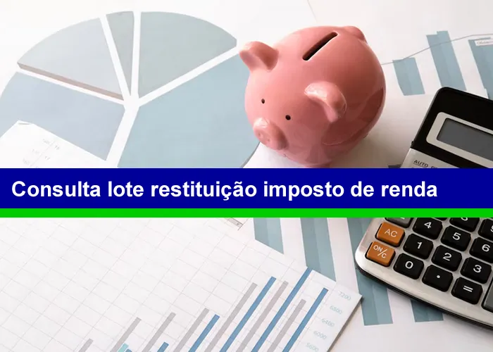 O crédito bancário para 94.864 contribuintes será realizado no dia 31 de março, no valor total de R$ 300.000.000,00. Desse total, R$ 196.597.983,60 referem-se ao quantitativo de contribuintes que têm prioridade legal, sendo 3.490 contribuintes idosos acima de 80 anos, 20.181 contribuintes entre 60 e 79 anos, 3.261 contribuintes com alguma deficiência física ou mental ou moléstia grave e 6.161 contribuintes cuja maior fonte de renda seja o magistério. Foram contemplados ainda 61.771 contribuintes não prioritários.

Para saber se a restituição está disponível, o contribuinte deve acessar a página da Receita na internet (www.gov.br/receitafederal), clicar em "Meu Imposto de Renda" e, em seguida, em "Consultar a Restituição". A página apresenta orientações e os canais de prestação do serviço, permitindo uma consulta simplificada ou uma consulta completa da situação da declaração, por meio do extrato de processamento, acessado no e-CAC. Se identificar alguma pendência na declaração, o contribuinte pode retificar a declaração, corrigindo as informações que porventura estejam equivocadas.

A Receita disponibiliza, ainda, aplicativo para tablets e smartphones que possibilita consultar diretamente nas bases da Receita Federal informações sobre liberação das restituições do IRPF e a situação cadastral de uma inscrição no CPF.
, Consulta lotes IRPF, Calculadora Imposto Renda e , em, Brasil