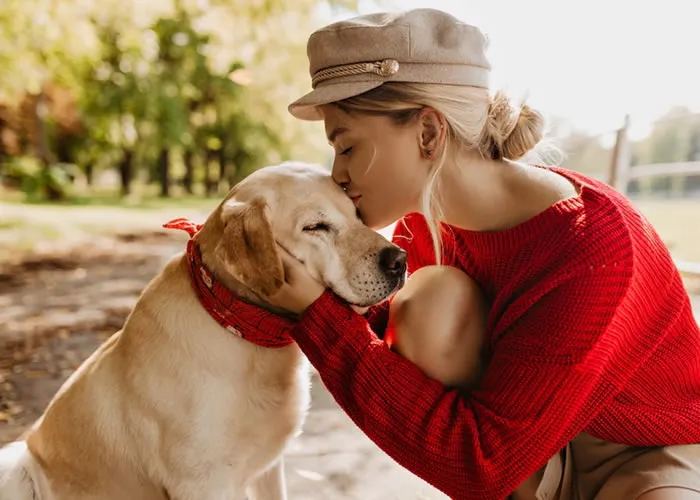 Muitos donos de cães cometem erros quando se trata de alimentar seu animal de estimação. Eles acreditam que seu cachorro é igual a eles, em outras palavras, seus animais de estimação precisam da mesma comida que eles. Na realidade, os cães são carnívoros e precisam de alimentos diferentes dos humanos. Eles têm necessidades dietéticas diferentes e uma ingestão diária rigorosa. A comida que comem afeta diretamente sua saúde e bem-estar.

Os cães são onívoros, o que significa que comem alimentos de origem animal e vegetal. Eles precisam comer uma dieta rica em proteínas para prosperar; isso é porque eles são carnívoros. Eles precisam de carne, peixe, aves, ovos, laticínios e verduras para se manterem saudáveis. Eles também precisam de vitaminas, minerais e outros nutrientes essenciais para ter o melhor desempenho. Sem eles, eles ficarão fracos e pouco saudáveis. 

Nem todos os alimentos para cães fornecem a quantidade de proteína que seu cão precisa para ser saudável. Seu cão precisa de proteína animal para ser forte,  afinal, ele é um animal. Também é importante que ele coma carboidratos suficientes para obter energia. Uma dieta saudável também contém uma boa quantidade de vitaminas e minerais para nutrição, isso garante que seu cão esteja em ótima forma do ponto de vista da saúde. As gorduras de origem animal fornecem energia ao seu cão, mantendo-o saudável. As bebidas  também são benéficas para os cães por causa das proteínas e vitaminas extras que contêm. 

Se o seu cão não estiver comendo bem, ele ficará fraco e indisposto. Ele também não se sentirá bem, ficará inquieto, ansioso, com vontade de comer e às vezes até deprimido. Alimentar seu animal de estimação com a comida errada causa esses sintomas porque os torna fracos e insalubres. Não alimentar seu animal de estimação o suficiente causa problemas como esses, então você precisa se certificar de que seu cão está recebendo comida suficiente todos os dias. Se não estiver, você o está preparando para o fracasso a longo prazo. Nem todos os cães gostam de comer a mesma comida que você. Alguns são comedores exigentes, o que significa que só comem certas coisas ou alimentos em grandes quantidades. Isso pode dificultar o treinamento porque o animal ficará desobediente, pois comerá cada vez mais comida todos os dias.

Para resolver esse problema, simplesmente dê ao seu cão o tipo certo de comida todos os dias,  então você pode treinar seu animal de estimação como quiser, sem preocupação ou preocupação. O seu cão será obediente e feliz ao comer coisas boas que se adaptam perfeitamente ao seu gosto.

A melhor forma de alimentar o seu cão é fornecer-lhe comida canina de alta qualidade que se adapte às suas necessidades nutricionais. Caso contrário, ele ficará fraco e indisposto,  o que tornará o treinamento difícil (e às vezes impossível) mais tarde na vida. Em vez disso, dê a ele comida de qualidade e ele se tornará um amigo leal que está sempre pronto para um jogo de busca!

, Guabi natural, Revendedor de ração e Treinamento para cães, em, Brasil