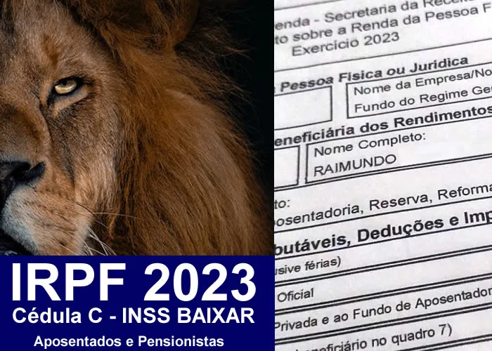 Emitir Extrato do INSS para Imposto de Renda Aposentados e Pensionista do INSS

Extrato para Imposto de Renda (IR) cédula C.

O extrato de Imposto de Renda do INSS é o informe de rendimentos fornecido anualmente pelo Instituto para ajudar na declaração de valores que foram recebidos pelo beneficiário no último ano.

O documento já está disponível e pode ser acessado pelo Meu INSS, site ou aplicativo. O cidadão não precisa comparecer a uma agência do INSS para conseguir seu extrato, uma vez que o documento pode ser baixado diretamente pela internet., Extrato para imposto de renda, Inss imposto de renda e Extrato inss aposentadoria, em, Brasil