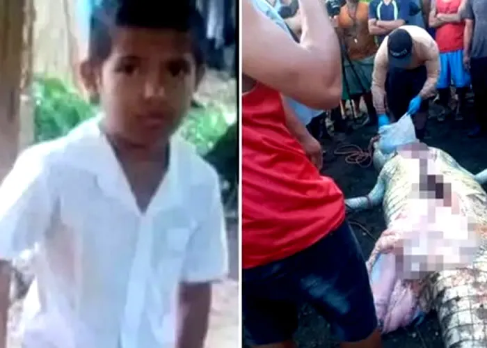 Um menino, identificado como Julio Otero Fernandez, de 8 anos, morreu após ser atacado por um crocodilo no rio Matina, na cidade de Limon, na Costa Rica. Segundo o The Sun, a criança foi decapitada pelo réptil antes de ser arrastada para as profundezas.

O caso ocorreu no dia 30 de outubro, mas somente neste sábado, quase um mês depois, um caçador não identificado atirou e matou um crocodilo na área. Quando os moradores locais abriram o estômago do animal, descobriram fios de cabelo e fragmentos de ossos de Julio.

Ainda de acordo com o jornal, o menino foi morto por volta das 14h enquanto pescava com os pais,Don Julio Otero e Margini Fernández Flores, quatro irmãos e outros familiares. A criança estava parada no rio com água até os joelhos quando o crocodilo se lançou sobre ele.

A coisa mais difícil para minha esposa foi ver o crocodilo flutuar com o corpo do meu filho”, contou Oreto. "Então ele o agarrou novamente e o arrastou para baixo."

Os pais de Julio se mudaram de Nicarágua para a Costa Rica há quatro anos para trabalhar em uma plantação de banana. Com a tragédia, o casal pretende voltar para o país de origem para garantir que os outros quatro filhos, com idades entre 3 e 16 anos, estejam a salvo de possíveis ataques.


, Curso Turismo Internacion, Gestão de turismo e Hotéis Westin e Passagens , em, Brasil