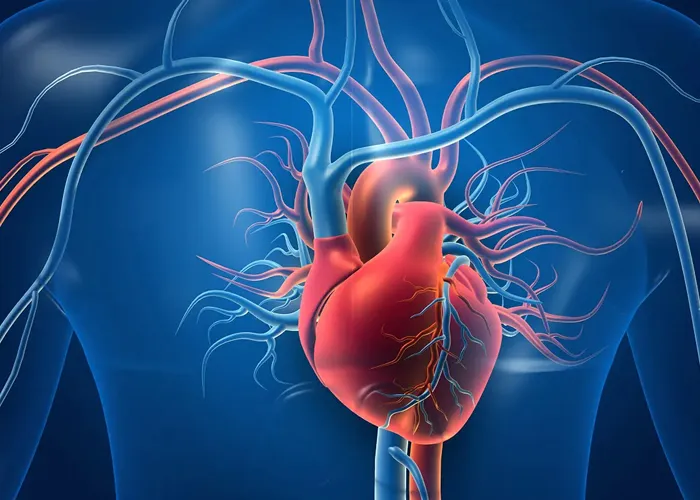 O número de mulheres jovens que morrem em decorrência de infarto está crescendo no país. A informação foi divulgada nesta sexta-feira, 19, pela Sociedade Brasileira de Cardiologia (SBC).

De acordo com a entidade, as mortes por infarto estão se tornando cada vez mais comuns, sobretudo entre mulheres de 18 a 55 anos. Faixa de idade que entra para a lista de mortes precoces no país, conforme reforça a SBC.

No material, intitulado “A mulher no centro do autocuidado”, a equipe da entidade alerta sobre o fato de, por vezes, os sintomas do infarto serem diferentes no público feminino. Nesse sentido, revela que o problema cardíaco pode ir além da dor na região do tórax.

Falta de ar, cansaço incomum, desconforto no braço e dor na mandíbula podem ser alguns sintomas que podem indicar quadro de pré-infarto entre as mulheres, assim como náuseas e vômitos.

“Especificidades nas mulheres como manifestações de sintomas nem sempre típicos fazem com que elas tenham o seu diagnóstico de infarto sub-reconhecido e subtratado”, diz, segundo o site Metrópoles, a médica Gláucia Maria Moraes de Oliveira. “Ou seja, não lhes ofertam os melhores tratamentos”, prossegue a especialista., Plano de saúde barato, Clínica de cardiologia e Pós graduação cardiologia, em, Brasil