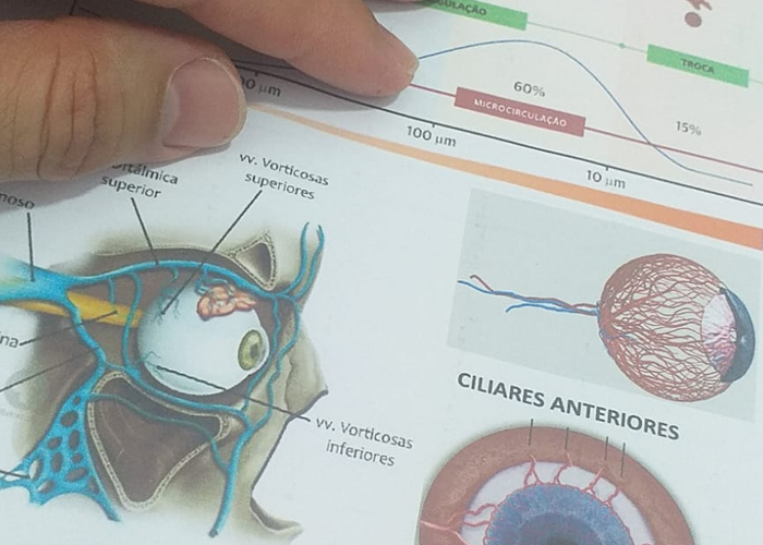 Optometrista em Manaus, O optometrista, profissional qualificado por cursos reconhecidos pelo MEC, é peça fundamental no cuidado com a saúde visual na atenção primária. Atuando com exames de refração, indicação de óculos, lentes de contato e terapias visuais não invasivas, ele contribui para a qualidade de vida da população. Na Clínica Opto Prime, o atendimento humanizado e baseado em evidências garante uma avaliação completa, voltada à detecção precoce de alterações oculares ou sistêmicas. A atuação precoce evita complicações maiores, como cegueira evitável, garantindo que o paciente seja encaminhado rapidamente ao especialista necessário.

#Optometria #SaudeVisual #OptoPrime #PrevençãoVisual

, exame de vista completo, Márcia Sousa Optometrista, em, Óptica e Optometria