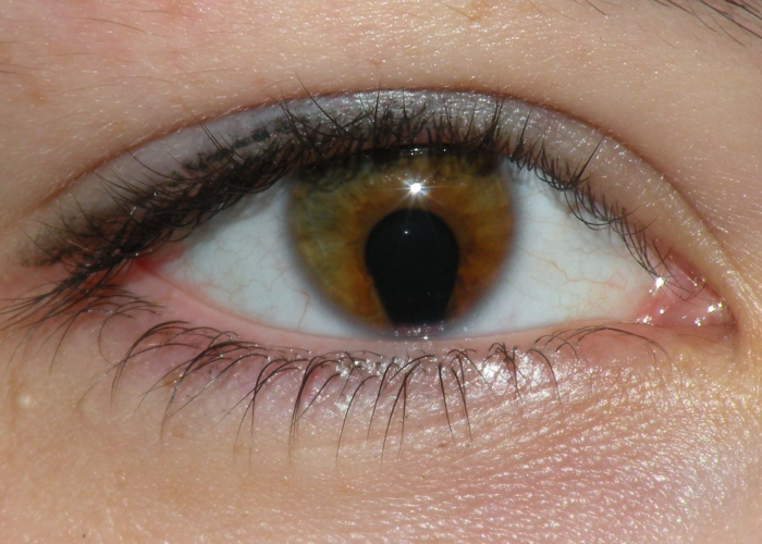 Exame de vista OptoPrime