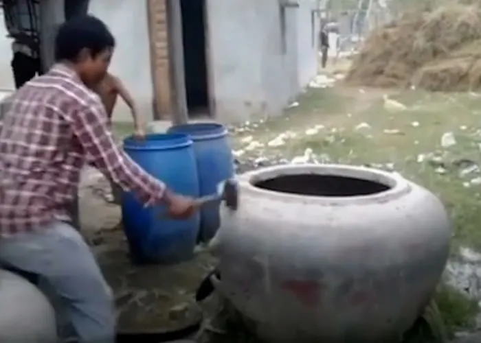 Veja o momento bizarro em que uma vaca é resgatada depois de ficar presa em um pote gigante de cerâmica em Kandal, Camboja, em 14 de dezembro., ,  e , em, Brasil