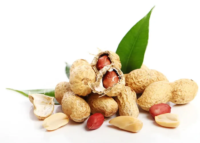 Efeitos colaterais do Moongfali: O amendoim não está associado apenas ao sabor, mas também às emoções. Este é um alimento que funciona para conectar as pessoas. As pessoas não gostam de comer sozinhas, mas comem sentadas com os amigos. O prazer que se tem em falar do mundo enquanto se come não pode ser descrito em palavras. Todo mundo gosta do sabor, mas comemos tanto que o sabor se torna uma perda. É por isso que você precisa ter um pouco de cuidado. Neste artigo, contaremos quais pessoas não devem comer amendoim. 

Quem não deve comer amendoim

Se você está acima do peso, evite comer amendoim. Porque a quantidade de calorias nele é alta. Eles aumentam muito o seu peso.

Por outro lado, as pessoas que estão lutando com problemas de estômago não devem tocá-lo porque causa inchaço.

Comer mais amendoim pode aumentar a pressão arterial e problemas relacionados ao coração. Porque hoje em dia as pessoas aumentam a quantidade de sódio para dar sabor. Portanto, consuma-o apenas em quantidade limitada.

- O consumo de mais amendoim também pode aumentar os problemas hepáticos. As pessoas cujo fígado é fraco não devem comer amendoim. Ao mesmo tempo, o peso também aumenta rapidamente ao comê-lo, portanto, evite-o.

Comer muito amendoim pode causar problemas de alergia na pele. Há inchaço, vermelhidão, coceira e erupções vermelhas no corpo. Se você é alérgico a ele, evite comê-lo ou consulte um médico primeiro. , Livro de receita, amendoim mais saudável e Receitas rápidas, em, Brasil