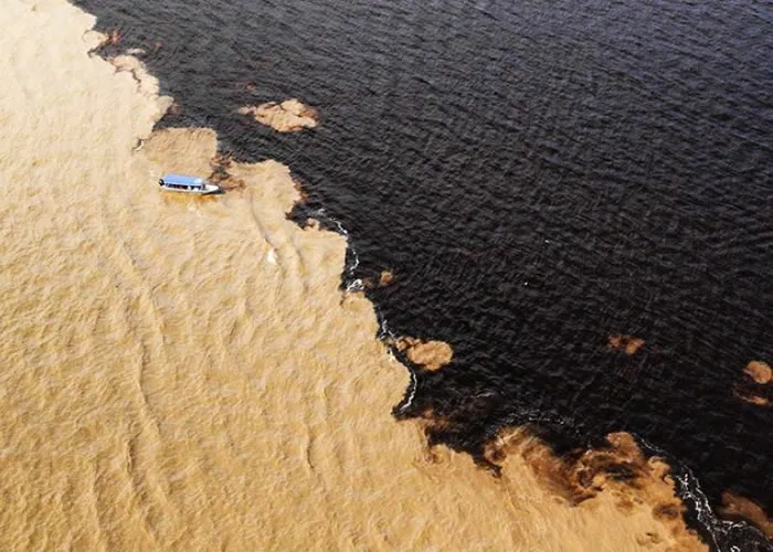 Conheça todos os pontos do famoso Rio Negro a bordo de uma lancha segura e confortável. Em um passeio de barco pelo rio Negro em direção à plataforma flutuante para interação com os botos, você terá a oportunidade de nadar com esses animais dóceis e observá-los quando alimentados por um nativo. A viagem continua até uma comunidade indígena para participar de um ritual de apresentação e aprender um pouco sobre sua cultura. Depois, desfrute de um saboroso almoço regional e assista ao fenomenal Encontro das Águas!

Idades entre 0 e 99 anos, máximo de 40 por grupo
Duração:6h
Horário de início: confira a disponibilidade
Tipo de ingresso:Celular
Português, Inglês
Atração com animais.

Perguntas frequentes:

    Quais atrações vou visitar com Nadar com as toninhas, vila brasileira e encontro das águas?
        Nesta experiência, você visitará os seguintes locais:

            Comunidade Catalão

        Descubra e reserve Nadar com as toninhas, vila brasileira e encontro das águas no Tripadvisor
    Quanto custa Nadar com as toninhas, vila brasileira e encontro das águas?
        Os preços para Nadar com as toninhas, vila brasileira e encontro das águas começam a partir de R$ 380,07. Descubra e reserve Nadar com as toninhas, vila brasileira e encontro das águas no Tripadvisor
    Quais empresas oferecem Nadar com as toninhas, vila brasileira e encontro das águas?
        Gray Line Manaus oferece Nadar com as toninhas, vila brasileira e encontro das águas. Leia avaliações, descubra outras experiências ou entre em contato com Gray Line Manaus no Tripadvisor. Descubra e reserve Nadar com as toninhas, vila brasileira e encontro das águas no Tripadvisor
, Ótimos hotéis pra família, Agência Turismo e Turismo Gray Line, em, Brasil