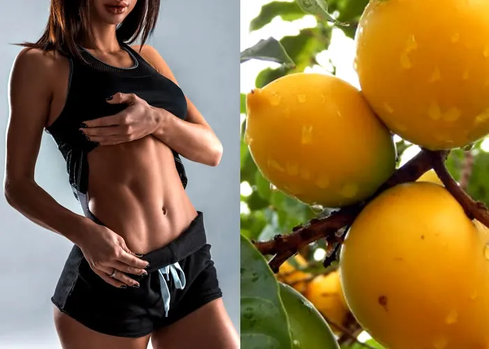 As frutas são uma parte saudável da nossa dieta. Eles são uma boa fonte de vitaminas e minerais e têm vários benefícios para a saúde. As pessoas usam frutas há séculos para tratar doenças, prevenir doenças e promover a saúde. Alguns acreditam que comer frutas pode retardar o processo de envelhecimento. Neste artigo, explicamos como as frutas promovem a longevidade e o envelhecimento saudável.

Propriedades do abiu para a sua saúde.


1 – Combate a anemia
 
 Rica em vitamina C, esta fruta contribui para potencializar a absorção do ferro, substância determinante para manter a saúde sanguínea e aumentar a produção de glóbulos vermelhos.
 

2 – Fortalece as defesas imunológicas
 
Repleta de vitaminas A, B1, B2, B5 e C e às substâncias como ferro, cálcio e fósforo, esta fruta consiste em uma excelente aliada natural no fortalecimento das defesas imunológicas.
 
Isso torna as pessoas menos suscetíveis a gripes, resfriados, infecções em geral e até mesmo diminui o risco de câncer.

 
3 – Combate infecções de ouvido
 
Exatamente por esta fruta fortalecer as defesas imunológicas, ela auxilia também no tratamento natural dos episódios de infecção de ouvido, favorecendo a melhor recuperação do organismo.
 
 
4 – Ajuda a reduzir a febre 

Embora poucas pessoas saibam disso, a casca dessa fruta consiste em um excelente remédio caseiro para diminuir a febre.
 
 
5 – Desintoxica o organismo
 
O consumo desta fruta ajuda a eliminar as toxinas existentes no organismo, principalmente aquelas que prejudicam o funcionamento dos rins e do fígado.
 

6 – Combate a diarreia
 
O consumo dela é capaz de ajudar no combate da diarreia, regulando naturalmente a flora intestinal. Além disso, esta fruta ajuda também a prevenir e tratar casos de desidratação, muito comuns principalmente nas populações mais pobres do país.

7 – Inibe a formação de tumores
 
 Devido aos efeitos na desintoxicação do organismo e fortalecimento da imunidade, o consumo regular dessa fruta contribui para evitar a formação de tumores nas mais diversas partes do corpo.
 

8 – Combate doenças nos olhos
 
 Ela age na prevenção de doenças oculares oriundas de danos nas córneas. O motivo disso é que as substâncias contidas nesta fruta favorecem esta região dos olhos, tornando-os menos suscetíveis à ação de deterioração, geralmente ocasionada durante o envelhecimento.
 

9 – Trata inflamações na pele
 
 O óleo desta fruta é um dos tratamentos naturais mais eficazes para inflamações na pele. Ele é aplicado por meio de cataplasmas sobre a região afetada, auxiliando na limpeza e cicatrização do local.
 

10 – Hidrata o corpo
 
A presença abundante de sais minerais contribui também para hidratar o corpo, sendo o consumo desta fruta ainda é mais indicado para as pessoas que praticam atividade física com frequência e também durante as estações mais quentes do ano, quando naturalmente o corpo transpira mais.
 

11 – Ajuda a emagrecer
 
Por estimular a eliminação das toxinas acumuladas no organismo e também por manter o corpo hidratado, essa fruta contribui imensamente para o processo de emagrecimento, já que ela favorece também a eliminação da gordura na corrente sanguínea.


Todos nós envelhecemos eventualmente, no entanto, alguns envelhecem mais rápido do que outros. Pessoas que vivem um estilo de vida mais ativo tendem a envelhecer mais rápido do que aquelas que são sedentárias. Além disso, as pessoas que comem uma dieta equilibrada tendem a envelhecer mais lentamente do que aquelas que não o fazem. Isso ocorre porque comer frutas promove um envelhecimento mais saudável. Comer frutas atrasa o processo de envelhecimento e melhora a saúde

As frutas são uma boa fonte de vitamina C; esta vitamina ajuda nossos corpos a absorver minerais como ferro e cálcio. Além disso, muitas frutas têm fibras saudáveis ​​que promovem a saúde digestiva. Além disso, muitas frutas contêm antioxidantes que ajudam a reduzir a inflamação em nossos corpos. Essas propriedades tornam as frutas uma excelente fonte de nutrição para os idosos. Comer frutas promove uma melhor saúde geral e pode reduzir a incidência de doenças em pessoas mais velhas.

Muitas pessoas acreditam que comer frutas pode melhorar suas habilidades mentais. Em particular, muitos países asiáticos promovem o consumo de pomelo, kiwi, pêssego de macaco e rambutan como parte de sua cultura antiga. Esses países acreditavam que comer essas frutas promovia longevidade e acuidade mental. Curiosamente, os cientistas provaram que comer certas frutas promoveu um melhor humor em pessoas mais velhas. Estes incluem maçãs, damascos, abacates, bananas, mirtilos, cerejas, uvas, melão, kiwis, mangas, nectarinas, mamão e pomelo. Pesquisas mostram que comer essas frutas melhorou o humor das pessoas, o que fortaleceu suas mentes. Comer frutas também pode manter o coração jovem: comer frutas promove a saúde do coração, entre outros efeitos positivos nos órgãos e músculos do corpo. As frutas não têm colesterol nem sódio; isso os torna uma excelente opção de alimento com baixo teor de gordura para pessoas que tentam diminuir seus níveis de colesterol. Além disso, comer frutas mantém você satisfeito por mais tempo do que outros alimentos, pois são ricos em carboidratos e proteínas. Isso torna a fruta um substituto de refeição ideal quando você está com fome ou tem restrições alimentares.

As frutas promovem o envelhecimento saudável, pois são ricas em vitaminas e minerais essenciais para a saúde e o bem-estar humano. As pessoas envelhecem mais rápido quando não comem frutas suficientes. No entanto, comer frutas mantém você jovem em mais de uma maneira! Há muitos benefícios para a saúde em comer frutas todos os dias, incluindo a promoção de uma saúde mais saudável!, Curso De Hortifruti, Colágeno pele  e , em, Brasil