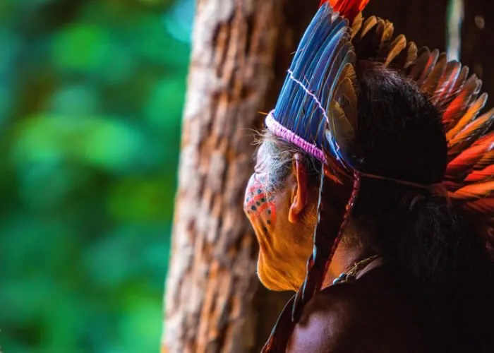 Com tantas espécies ainda não identificadas, a Amazônia é uma das últimas grandes regiões selvagens da Terra. Nesta excursão de 7 dias, você terá a chance de explorar todos os seus recantos mais fascinantes, viajando de cidades da época da corrida do ouro a vilarejos tradicionais, de densas trilhas na selva a piscinas naturais e muito mais. Viajando pela estrada e pela água, você terá uma verdadeira sensação deste lugar vasto e selvagem.

Idades entre 0 e 100 anos
Duração:7 dias
Horário de início: confira a disponibilidade
Tipo de ingresso:Celular
Alemão, Chinês, Russo, Inglês, Italiano, Francês, Espanhol

    Almoço
    Café da manhã
    Jantar
    Café da manhã
    Almoço
    Jantar
    Café da manhã
    Café da manhã
    Café da manhã
    Jantar
    Café da manhã
    Jantar
    Almoço
    Almoço
    Café da manhã
    Entrada – Teatro Amazonas
    Entrada – Encontro das Águas
    Entrada – Arquipélago de Anavilhanas

Não inclui

    Voos, Seguros, Gorjetas, Despesas Pessoais, Boutique Travel Amazonas, Tripadvisor Turismo e Pacote de viagens, em, Brasil