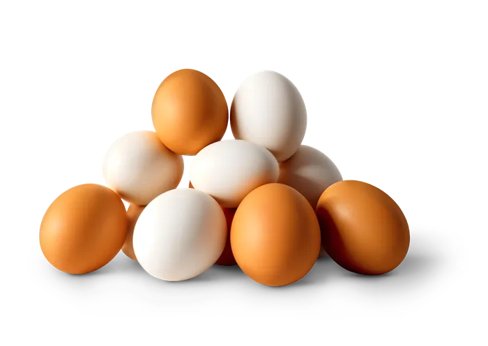 Miopia hipermetropia astigmatismo