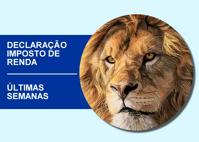 O prazo da Declaração de Ajuste Anual do Imposto sobre a Renda da Pessoa Física, está chegando ao fim.

Preencha e envie a sua declaração de imposto de renda. O serviço permite fazer a Declaração de Ajuste Anual, a Declaração de Espólio (referente a pessoa falecida) ou a Declaração de Saída Definitiva do País (para quem está se mudando para o exterior), e enviar à Receita Federal.

Prazo:
O prazo para entregar a declaração de imposto de renda da pessoa física (DIRPF) de 2023 é o último dia útil do mês de maio.

Se você é um contribuinte obrigado por lei a entregar a declaração, mas enviar após o prazo, será cobrada Multa por Atraso na Entrega de Declaração (MAED).


, Consultar restituição, Quem precisar declarar imposto e Qual o valor para declarar imposto de renda, em, Brasil