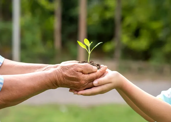 O ambientalismo é o movimento para proteger o ambiente natural da Terra. É uma ideologia complexa que ganhou popularidade crescente nas últimas décadas. Muitas pessoas agora pensam que nosso ambiente natural está em grave perigo e deve ser salvo a todo custo. O ambientalismo é um fenômeno global e ganhou massa crítica em muitos países ao redor do mundo. No entanto, nem todos os países estão de acordo com a ideia de preservar o meio ambiente do mundo.

O termo ambientalismo se origina da palavra grega meio ambiente e da palavra grega conservar. Os romanos cunharam o termo conservação, mas só entrou em uso comum no início do século 20. Antes disso, havia muito debate sobre se a humanidade havia danificado irreversivelmente o meio ambiente do mundo ou não. Algumas ideias originais de diferentes filósofos e cientistas contribuíram para a criação da mentalidade ambientalista moderna. O debate sobre o efeito da humanidade sobre o meio ambiente passou por várias fases - da negação ao choque, e agora à redenção e renascimento.

O conceito de ambientalismo global se popularizou durante a segunda metade do século 20, quando as questões ambientais se tornaram uma preocupação mundial. Cientistas e filósofos agora se juntaram a políticos e jornalistas para conscientizar o público sobre a degradação ambiental. As plataformas de mídia social têm sido usadas por ambientalistas modernos para criar conscientização sobre sua causa. Alguns ambientalistas usam as mídias sociais para criticar indústrias e corporações que prejudicam o meio ambiente natural. Eles também criam campanhas para incentivar as pessoas a reduzir seus níveis de consumo ou desperdício. Grupos ambientalistas populares incluem Greenpeace, WWF e IUCN, para citar alguns.

O meio ambiente mundial está em piores condições do que nos séculos anteriores, segundo alguns especialistas. A população está crescendo a uma taxa sem precedentes, impactando os recursos naturais e habitats em todo o mundo. Questões ambientais como mudanças climáticas, desmatamento, poluição do ar e escassez de água estão sendo exacerbadas pela industrialização imprudente e pelo consumismo. Há muitos debates acontecendo online sobre a gravidade da situação atual. Alguns acreditam que a humanidade tem um longo caminho a percorrer antes que possa ser chamada de Civilizada. Muitos acreditam que a humanidade caminha para um desastre ecológico, mas ainda não percebem.

O ambientalismo tornou-se um movimento muito popular em todo o mundo devido à crescente preocupação pública com o meio ambiente natural. Muitas pessoas agora sentem que danificamos ambientes naturais irreversivelmente sensíveis, como florestas ou oceanos. Devemos proteger o que nos resta!

, Energia fotovoltaica, Redução na fatura e Eficiência Energética, em, Brasil