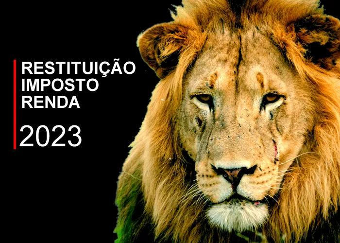 Veja como saber em qual lote vai receber a restituição do Imposto de Renda 2023.

O prazo para declarar o Imposto de Renda 2023 segue até o dia 31 de maio, mas quem queria tentar receber a restituição já no primeiro lote, deveria ter prestado contas ao Fisco até quarta-feira, 10. As restituições serão pagas em cinco lotes que vão até o fim de setembro (veja calendário mais abaixo).

Após o envio da declaração, o contribuinte precisa esperar para verificar se estará entre os contemplados para receber a restituição, desde que a sua declaração não seja retida na malha fina. 

Para saber em qual lote você vai receber a restituição, é preciso checar a data em que a declaração foi entregue. Também, é importante saber se você se encaixa em algum critério de prioridade, para que suas chances aumentem.

A previsão para que a consulta ao pagamento do primeiro lote do IR seja liberada é dia 24 de maio, no site da Receita Federal. Ainda não há informações sobre quantos contribuintes serão contemplados neste primeiro pagamento e qual o valor total do lote a ser distribuído.
, Regras de Imposto de renda, Calculadora Imposto de renda e Restituição Imposto de renda, em, Brasil