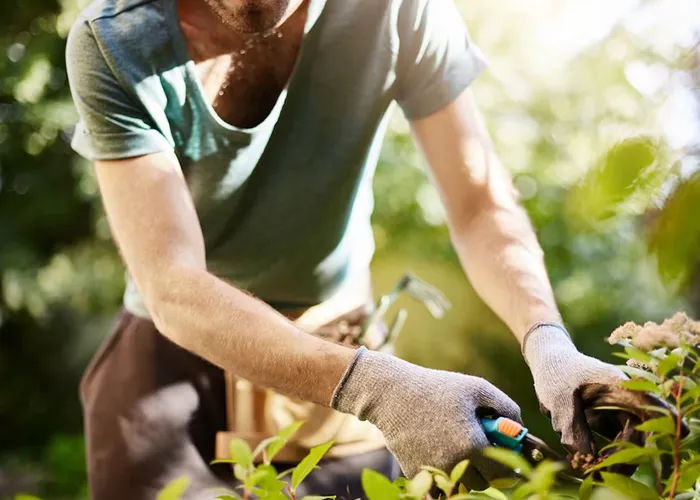 Escolaridade – ensino fundamental completo;

Experiência – seis meses na Carteira de Trabalho;

Atividades – realizar limpeza em geral, em áreas internas e externas., Supervisor de jardinagem, Curso Paisagem Jardinagem e Certificação em paisagismo, em, Brasil