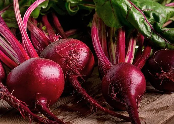 A beterraba é uma hortaliça tuberosa que apesar de comumente qualificada de raiz, ela é resultante do engrossamento de uma porção do caule. Já a abobrinha é um fruto colhido ainda verde. Pertence à família Cucurbitácea, assim como a melancia, o melão, o pepino e a moranga. Quando deixado na planta, o fruto desenvolve-se e amadurece.

A beterraba é uma hortaliça tuberosa de sabor adocicado, consumida por todo o país.

Ela é sucesso nas saladas e pode virar um suco energético, ótimo para a hora da atividade física. 

A Beterraba é rica em vitaminas A, B e C, também em minerais como sódio, potássio, magnésio e ferro que turbinam o sistema imunológico e combatem a fadiga muscular. 

Antes  da beterraba dá energia,  durante ela melhora o rendimento e depois ela previne dores musculares. Por isso fica a dica, vamos malhar com a beterraba. Outra hortaliça destaque é a abobrinha, mais especificamente essa aqui,  a abobrinha italiana, que é muito consumida no Centro-Sul do Brasil. 

Abobrinha tem vitaminas E, A e C, tem também minerais como o zinco cobre manganês. Tudo isso torna a abobrinha boa para digestão e levemente diurético. 

Pra conservar a abobrinha é bem simples, faça o seguinte.  Coloque num saco plástico sem lavar mesmo, depois guarde na geladeira por até sete dias. 
, Receitas faceis de fazer, Suco energético poderoso e Lista de receitas Minuto, em, Brasil