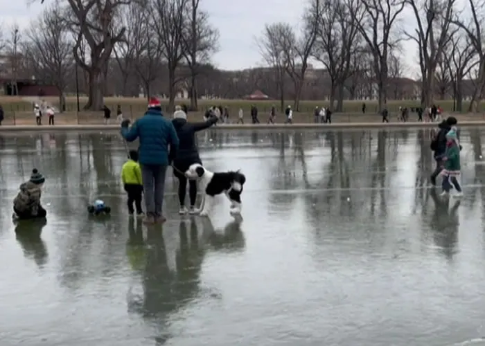 Uma pista de patinação. Foi mais ou menos o que ocorreu em Washington no Espelho dágua do Lincoln Memorial sob o efeito da grande tempestade de inverno desse fim de ano., Passagem  aérea, Viaje barato e Hotel temporada, em, Brasil