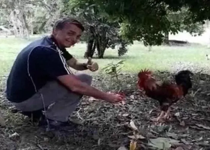 Em segundo lugar nas pesquisas de intenção de voto, o presidente Jair Bolsonaro (PL) bateu boca com um usuário do Twitter que afirmou que o mandatário está usando a mesma estratégia que usou nas eleições de 2018 — publicando memes para angariar apoio de um público mais jovem.

Está me dando nos nervos, ele ganha engajamento escrevendo um meme genérico, depois de tudo que esse homem fez, não é possível que não enxerguem isso, tweetou o perfil @diegohsrgreeves.

O presidente respondeu com um meme, ele ao lado de um galo fazendo um sinal de joia. Até às 19h10, a resposta já havia sido retuitada mais de 2.400 vezes, recebido mais de 919 comentários e mais de 15,6 mil curtidas.

Sagaz

No início deste mês, o ex-ministro da Infraestrutura e postulante ao governo do estado de São Paulo Tarcisio de Freitas disse em entrevista ao site Money Report, diante empresários na capital paulista, que o chefe do Executivo era mais sagaz do que pensavam.

Como o já noticiado pelo Correio, ele havia usado o exemplo, usou a inauguração da ponte Abanuã, que conecta o Acre ao sistema rodoviário brasileiro. O ex-ministro a quem Bolsonaro chama de Capita — por ter sido capitão do Exército — destacou a falta de capacete na travessia da ponte (que foi feita mais de uma vez). Capita, qual vai ser a notícia? Ao que Tarcísio respondeu: (A notícia será) Que estamos sem capacete. Bolsonaro concordou: Exatamente, vão falar que atravessamos a ponte sem capacete, mas vão falar da ponte. Da inauguração dessa obra que levou décadas e, do contrário, ninguém ia falar, relatou o ministro.

Bolsonaro me perguntou: Essa foto nossa atravessando a ponte, você acha que ganha quantas curtidas? Tarcísio contou que não tinha ideia, mas que Bolsonaro respondeu. Nas primeiras horas, três milhões de curtidas nas minhas redes sociais. Sabe o que é isso, Capita? Publicidade de graça, disse o presidente.

Eleitores jovens

A Justiça Eleitoral divulgou que no mês de março registrou um salto de 45,63% no número de títulos de eleitores concedidos para jovens de 15 a 17 anos, quando comparado a fevereiro, faixa etária para a qual o voto é facultativo – os jovens com 15 anos, para poder exercer o direito ao voto, devem completar 16 até o dia do primeiro turno da eleição. Os números do último mês foram divulgados na sessão plenária desta terça-feira (5/4) pelo presidente do Tribunal Superior Eleitoral (TSE), ministro Edson Fachin.

Ao todo, entre os jovens na faixa etária indicada, o número de novos títulos passou de 199.667 em fevereiro para a marca de 290.783 em março, crescimento superior a 45%. Para aqueles com 15 anos, foram emitidos 23.185 novos títulos contra 12.297 documentos feitos em fevereiro, um incremento de 88,5%., Mentoria em Redes Sociais, Venda mais em Redes Socias e Venda Online Gratuitamente, em, Brasil