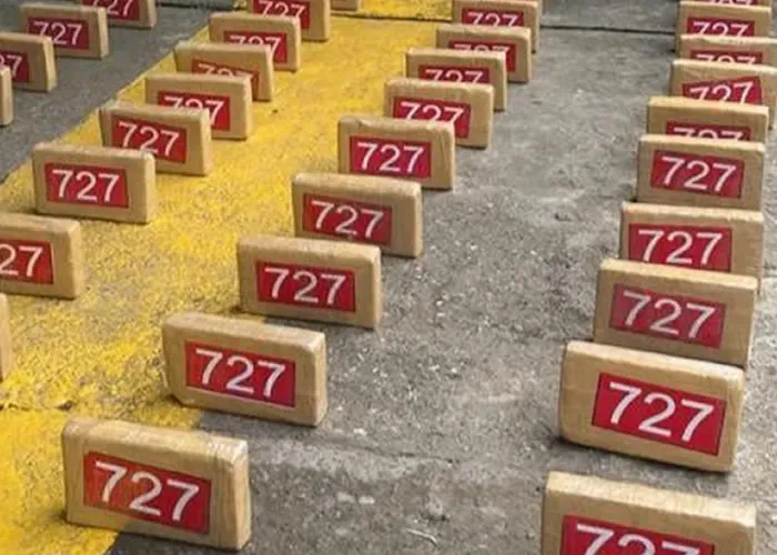 En la tarde del 10 de diciembre del 2022, desde el Twitter de la Unidad Nacional de Protección (UNP) se reveló que una de sus camionetas fue detenida por las autoridades mientras transportaba 150 kilos de cocaína. El vehículo se movilizaba por la vía La Plata-Popayán, cuando fue requerido por miembros de la Policía Nacional, en cercanías del municipio de Caloto, Cauca.

Al parecer, cuando los agentes solicitaron la detención del vehículo, su conductor identificado como Manuel Antonio Castañeda, les manifestó a las autoridades que se trataba de un exfuncionario de la Policía Nacional y que ahora se encontraba vinculado con la Unidad Nacional de Protección (UNP). También alego que se encontraba movilizando a una persona protegida, por lo que rehusó el llamado de las autoridades para bajar de la camioneta y acatar el requerimiento policial. Según información publicada por Noticias RCN.

Este mismo medio informa que ante la respuesta de Castañeda se procedió a pedir el acompañamiento de un canino antinarcóticos (CAN), generando nerviosismo en el conductor. Finalmente, esté accedió a abrir la camioneta, lo que le permitió a los policías percatarse de varios paquetes rectangulares marcados con el número 724. En la camioneta de placas KXU-434, además de los 168 paquetes de estupefacientes, se encontraron gorras, placas y emblemas del organismo de gobierno.

En un comunicado emitido por la UNP se expresó la solicitud de su director, Agusto Rodríguez, ante la Fiscalía General de la Nación, pidiendo una intervención inmediata que permita “extirpar los hechos de corrupción que afectan a la entidad”. También pidió que se proteja la vida del conductor del vehículo, Manuel Antonio Castañeda, pues podría estar inmerso en otros graves hechos de corrupción. En este momento la cabeza de la entidad se encuentra reunido con las autoridades de la zona, según información de Caracol Radio.

, Os hotéis mais românticos, Vôos para Colômbia e Voos Internacionais, em, Colômbia